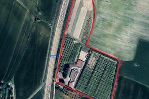 Azienda agricola in piena produzione