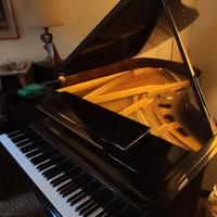 Pianoforte Petrof mezza coda meccanica Renner