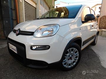 PANDA 1.0 Hybrid AUTOCARRO 4posti N1