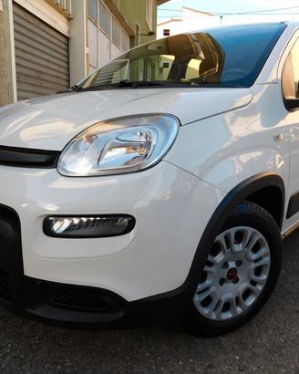 PANDA 1.0 Hybrid AUTOCARRO 4posti N1
