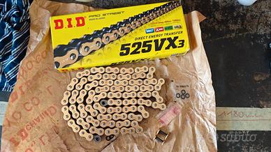 Did 525 VX3 G&B 114 Maglie