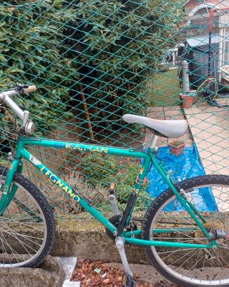 Mountain bike