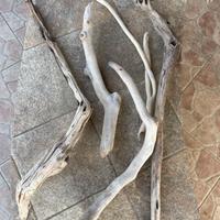 Legni / radici per acquario / terrario