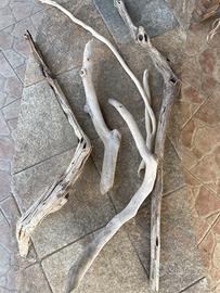 Legni / radici per acquario / terrario