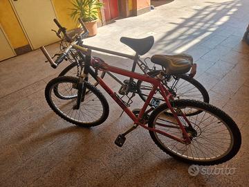 Bicicletta