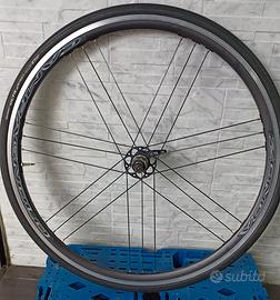ruote campagnolo 
