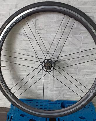ruote campagnolo 