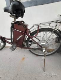 Bici elettrica 250 watt