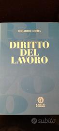diritto del lavoro 