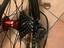 Immagine 4