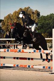 Pony salto ostacoli