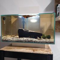 Acquario fluval edge23