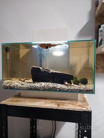 Acquario fluval edge23
