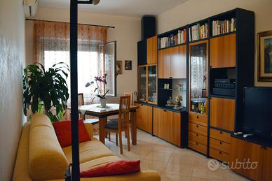 Soggiorno componibile in legno impiallacciato noce