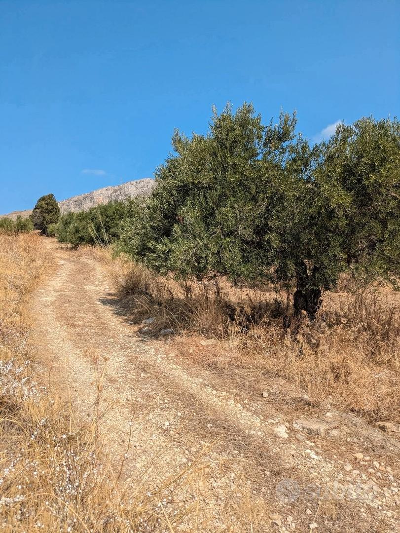 Terreno agricolo - Terreni e rustici In vendita a Trapani