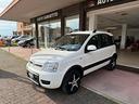 fiat-panda-1-2-4x4