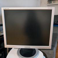 Monitor Samsung 19 pollici