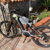 Whistle B-LYNX SR professionale