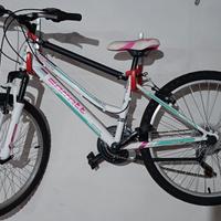 Bicicletta da Donna 