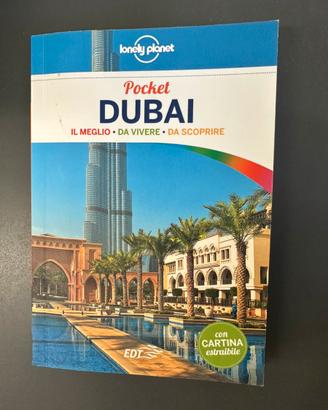 Dubai Lonely Planet Pocket