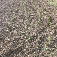 Donne in difficoltà per lavori casalinghi