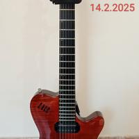 Godin USA chitarra elettrica professionale storica