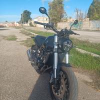 Benelli leoncino 500 - 2022 unico prop - 722km