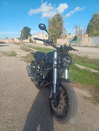 Benelli leoncino 500 - 2022 unico prop - 722km