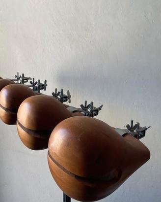 Strumenti musicali e Vinili