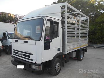 Eurocargo iveco 65e14 centinato