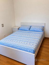 Stanza singola Zona Bocconi/Tibaldi