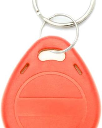 Tag RFID riscrivibile 125 kHz EM4305 chiavetta