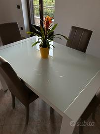 Tavolo allungabile