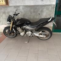 Honda hornet