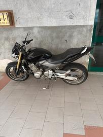 Honda hornet