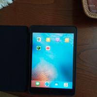 iPad  mini 1