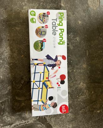 Ping pong table