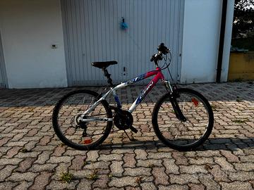 Bicletta per ragazzi di 11 anni