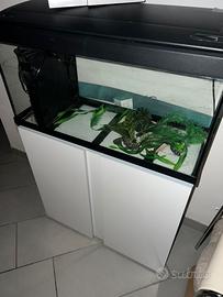 Acquario con mobile