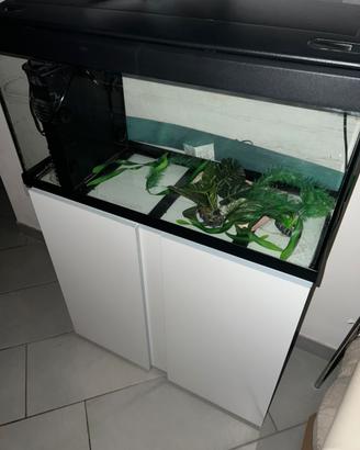 Acquario con mobile