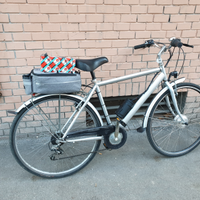 Bici elettrica e-bike uomo donna e mtb
