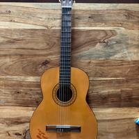 Chitarra classica ferrarotti unoenne