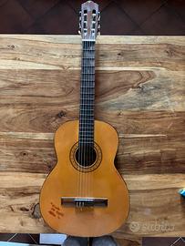 Chitarra classica ferrarotti unoenne