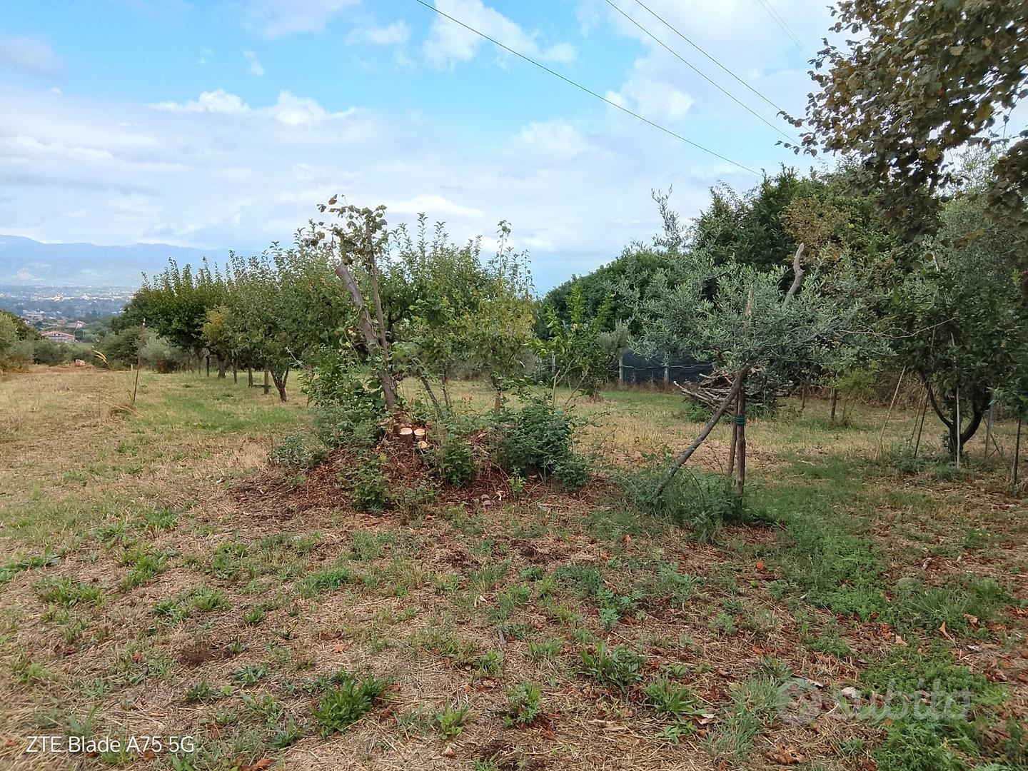 Terreno agricolo - Vista 4