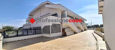 Negozio Pomezia [PC1171ACG]