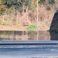 Copertura cassone Dodge Ram