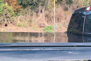 Copertura cassone Dodge Ram