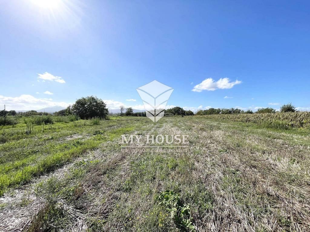 Terreno di 8500 m² a Palestrina - Vista 2
