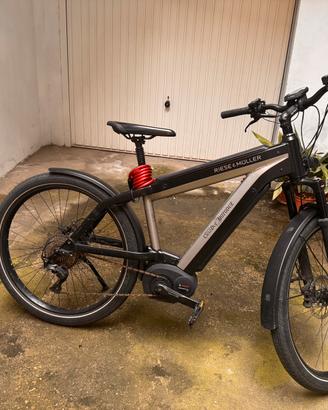 Biciclette elettriche