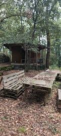 Chalet e terreno parco dell' Etna